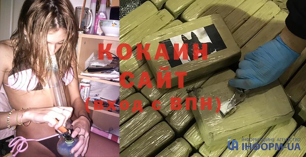 прущие грибы Богданович