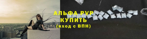 ECSTASY Богородск