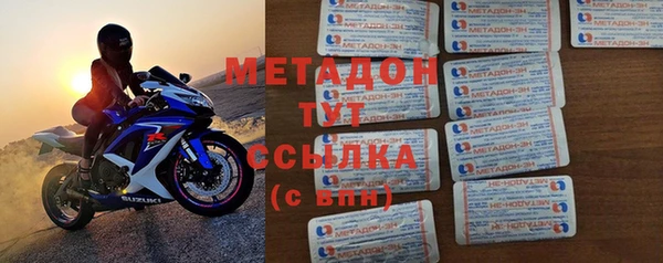 прущие грибы Богданович