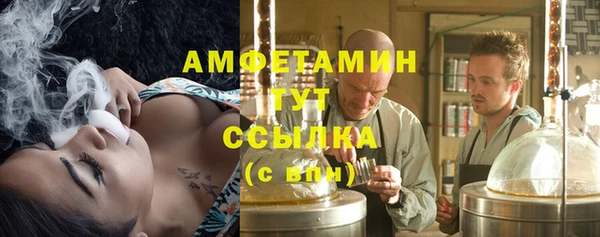 прущие грибы Богданович