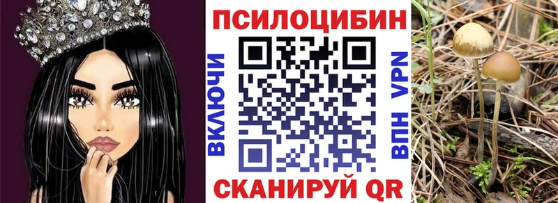 Галлюциногенные грибы Cubensis  Кологрив 