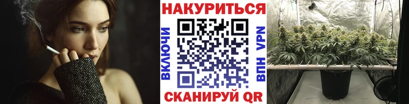 мориарти какой сайт  Кологрив  Бошки марихуана OG Kush 